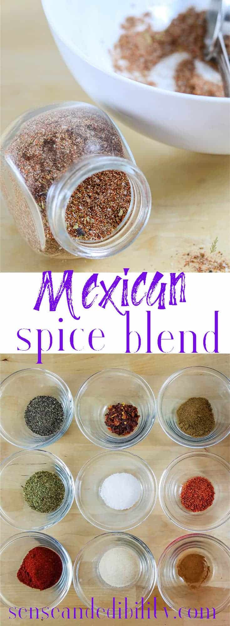 Sense & Edibility's Mexican Spice Blend Pin