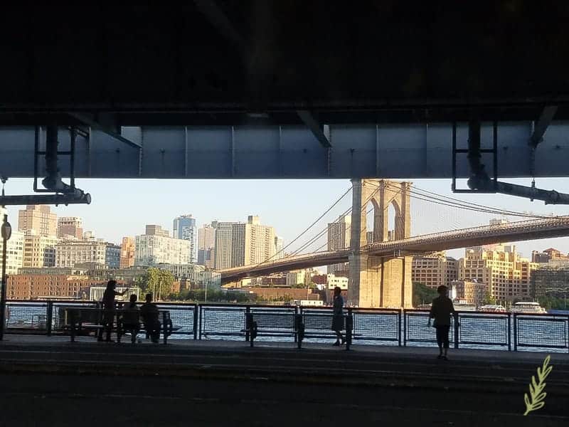 Sense & Edibility's 15 Reasons to Visit NYC