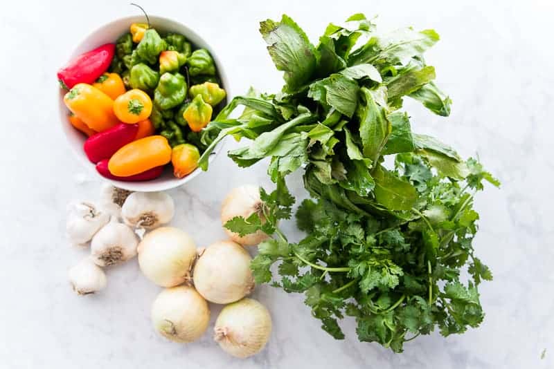The ingredients used to make Sofrito: sweet peppers, culantro, cilantro, onions, and garlic