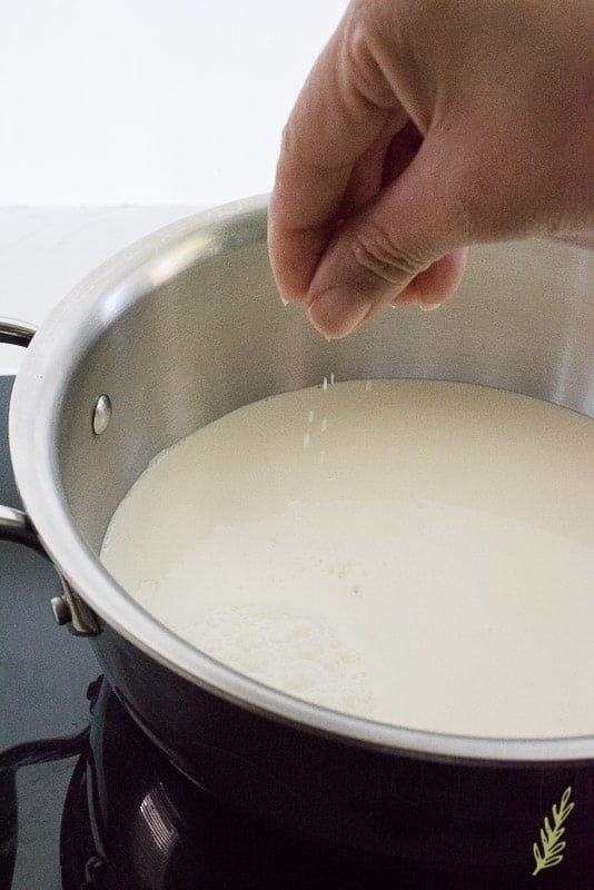 Sense & Edibility's Cereal Milk Frozen Custard