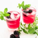Sense & Edibility's Blackberry-Vodka Smash