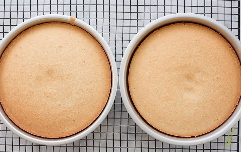 The baked Piña Colada Cake are cooling in their pans on a black cooling rack.