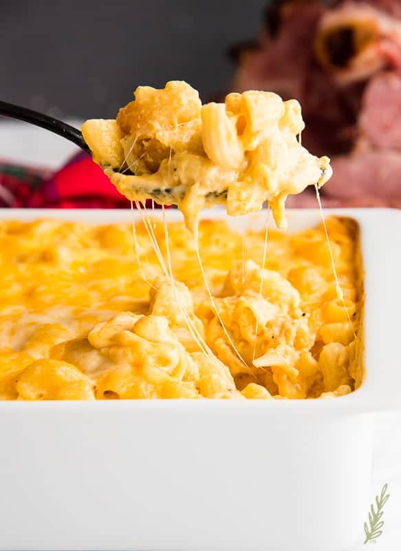 A cheesy scoop of Five Cheese Baked Macaroni and Cheese