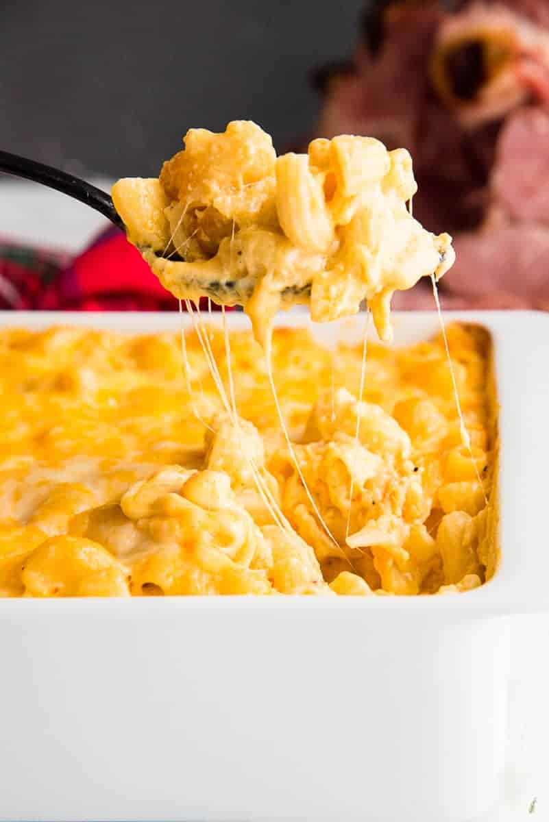 Lead image of a spoonful of five cheese baked macaroni and cheese being lifted from a white baking dish. 