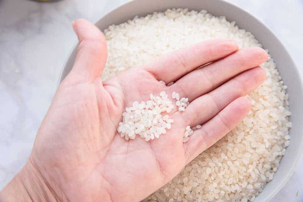 A hand holds grains of medium grain rice to show size. 