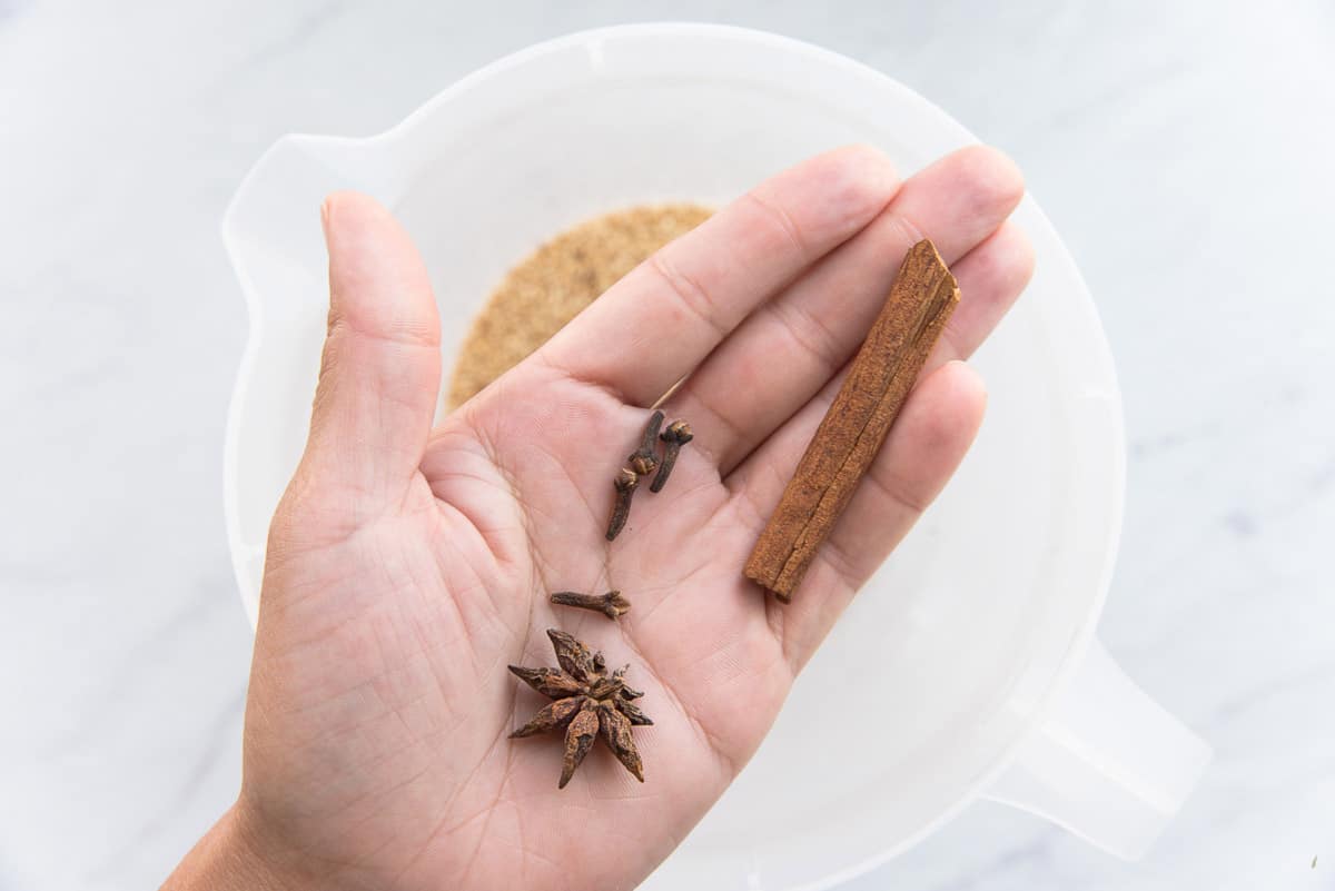 Star anise, whole cloves, and a cinnamon stick are held in the palm of a hand before being added to the seeds in the water.