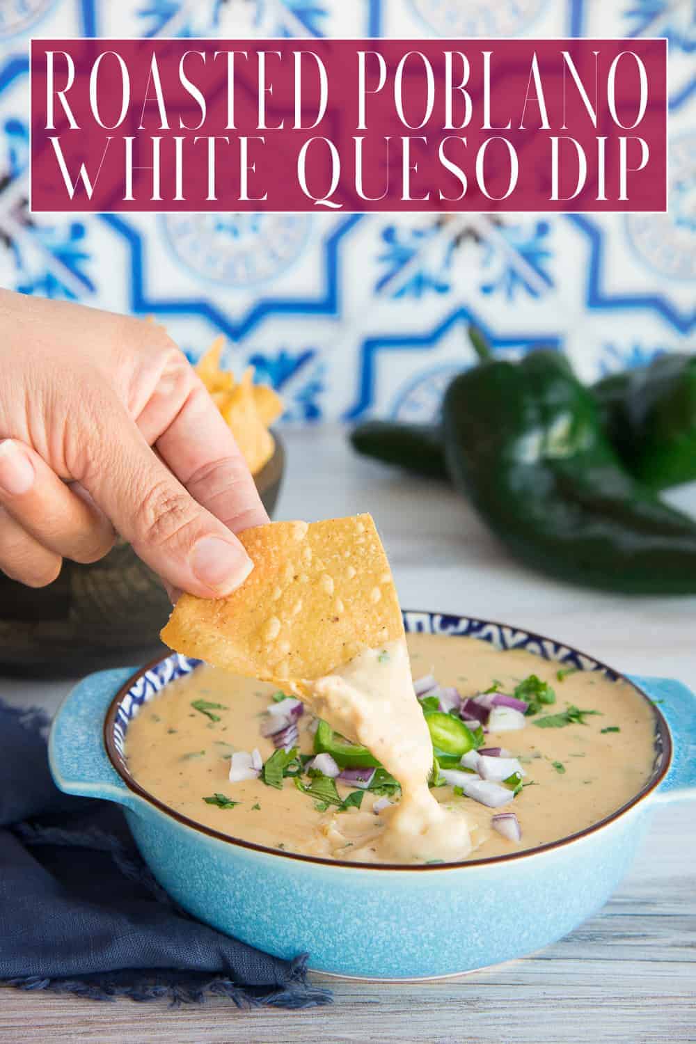 Roasted Poblano White Queso Dip is mildly spicy and packed full of flavor thanks to three different types of cheese. This creamy cheese dip is great for your next party or game day watching session. You can serve this dip with corn tortilla chips or use it as a sauce for your nachos. #poblanopeppers #whitequeso #whitequseodip #cheesedip #diprecipe #footballrecipes #gamedayrecipes #watchpartyrecipes #cheese #dip via @ediblesense