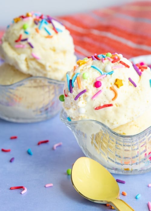 Vanilla frozen custard scoops in a glass waffle dessert bowl with rainbow colored sprinkles on top.