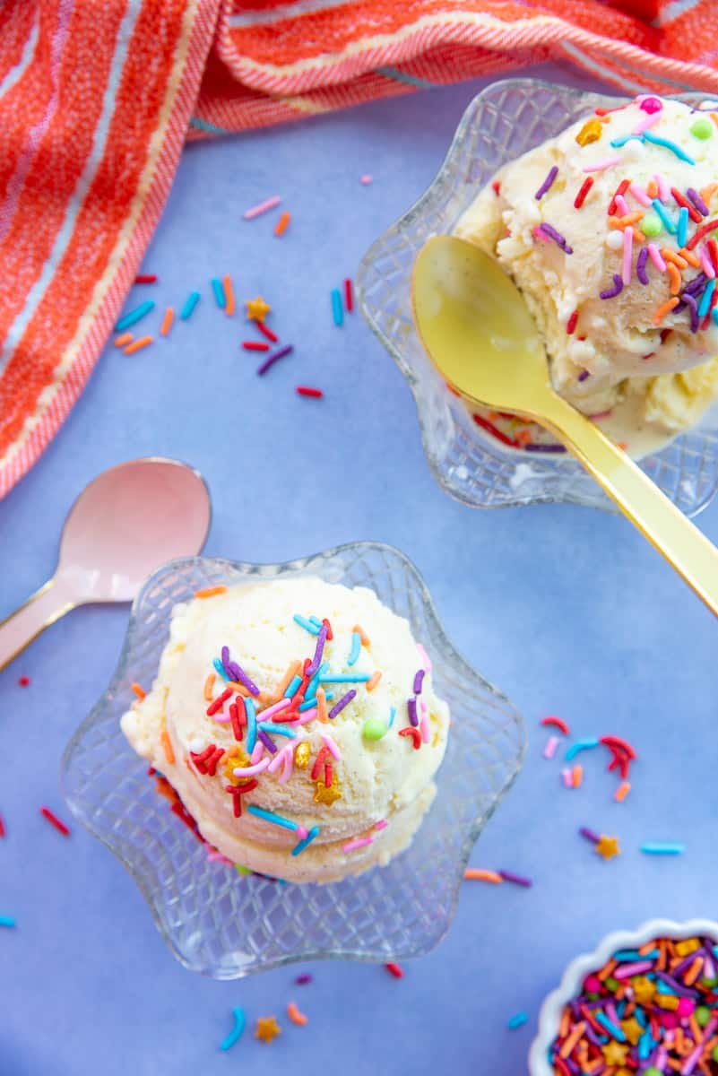Two glass dessert bowls filled with scoops of vanilla frozen custard garnished with rainbow jimmies.