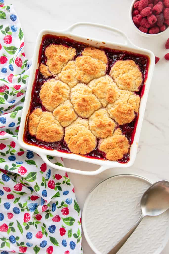 Raspberry Cobbler - Sense & Edibility