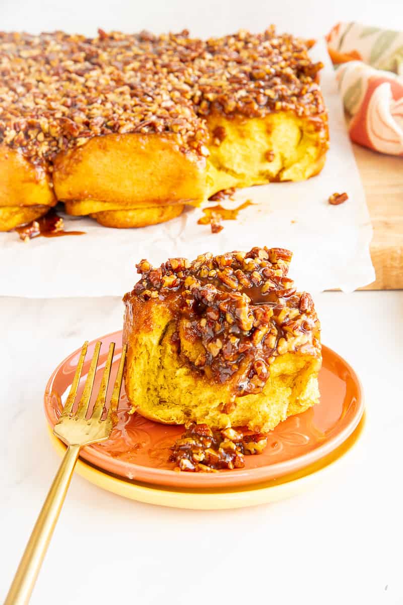 A bite is removed from a single Pumpkin Sticky Bun that sits on a plate in front of a batch of Pumpkin Sticky Buns with Pecans.
