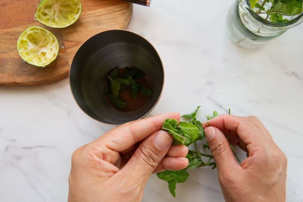 Hands pick fresh mint leaves from the stem to place in a sliver cocktail shaker.
